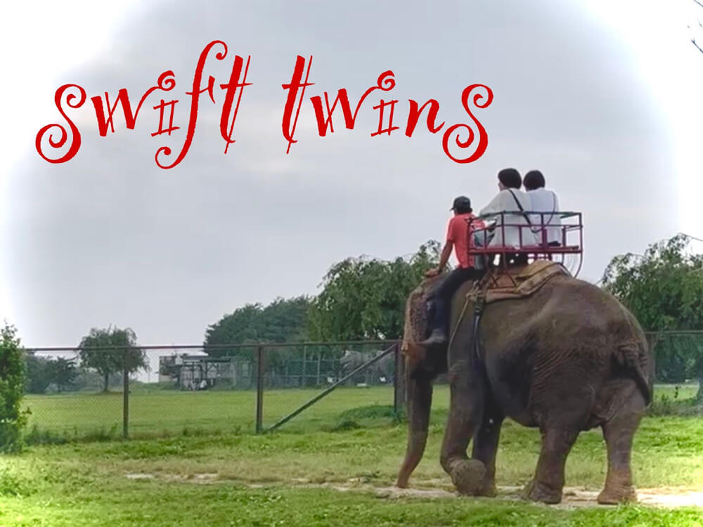 swift twins